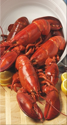 Plate of Grilled Lobster (Mariscos) at Griselda's